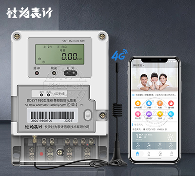 社为DDZY1980远程智能电表